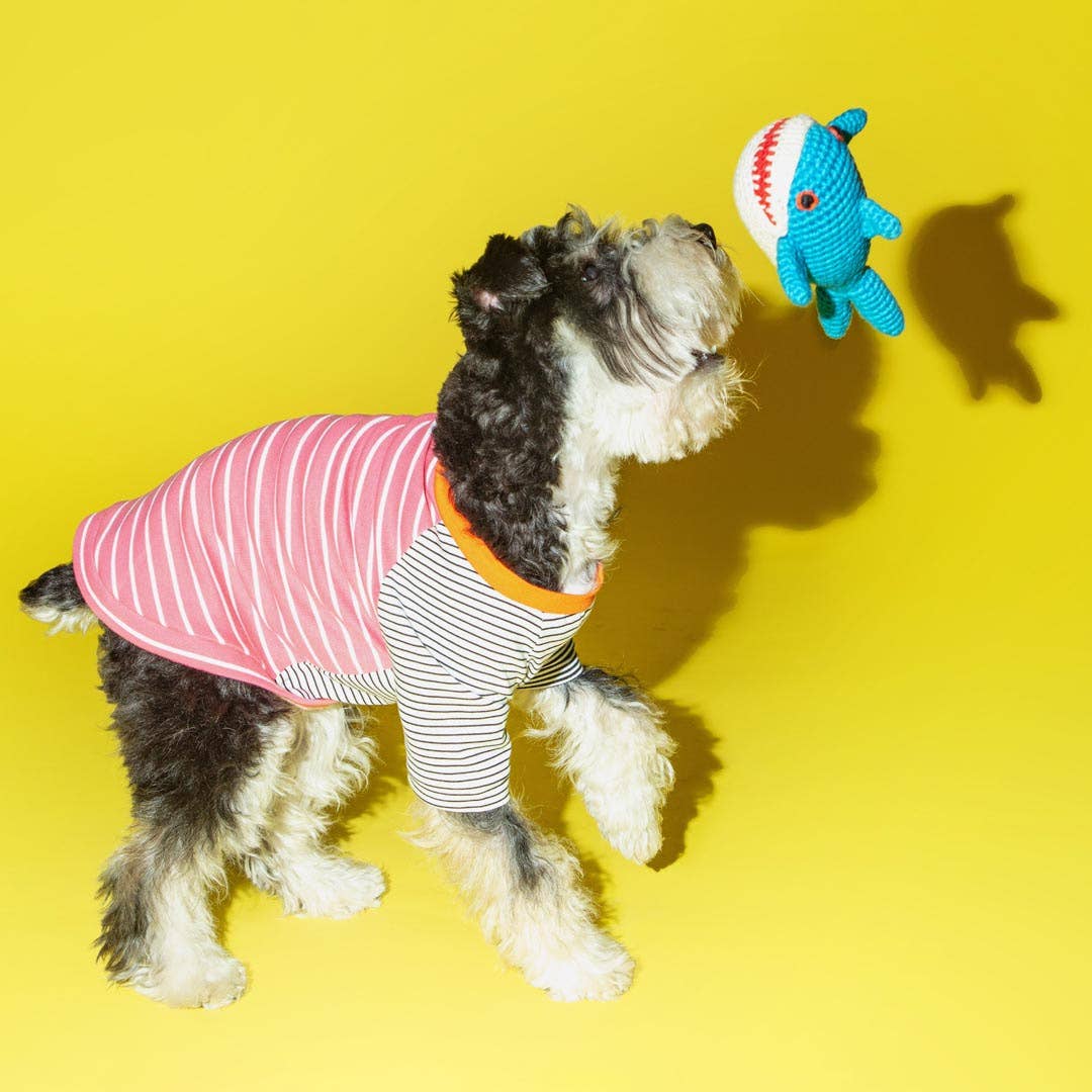 Dog playing with shark dog toy by Ware of the Dog made with cotton and all-natural dyes