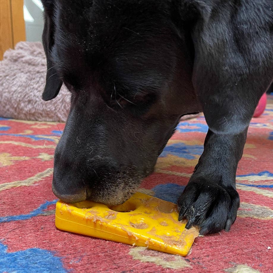 Dog chewing the yellow Swiss Cheese Wedge heavy duty chew toy during play