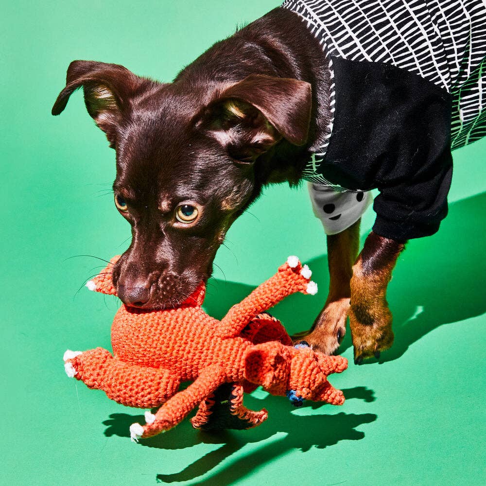 Dog engaging in supervised play with an organic cotton dragon plush toy crafted with all natural dyes.
