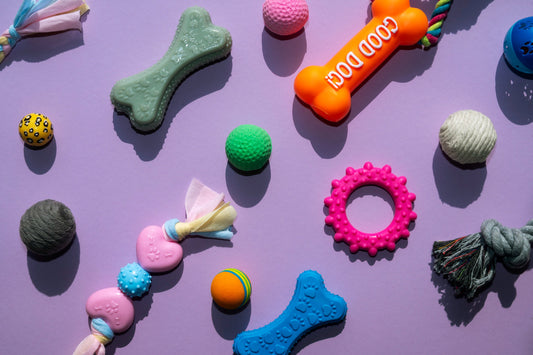 Safer dog toy options