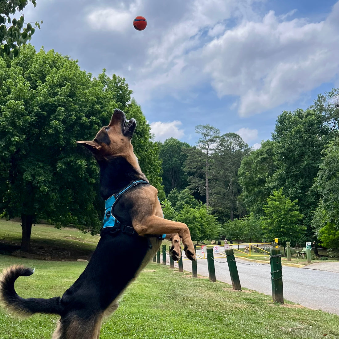 Importance of Exercise