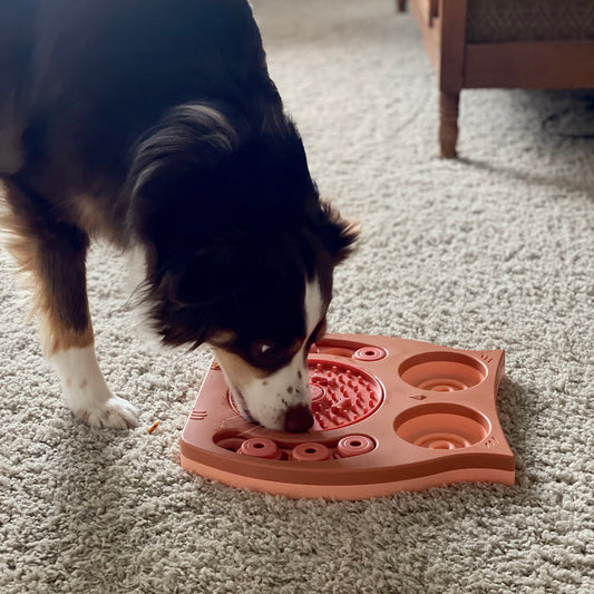 Importance of Mental Stimulation