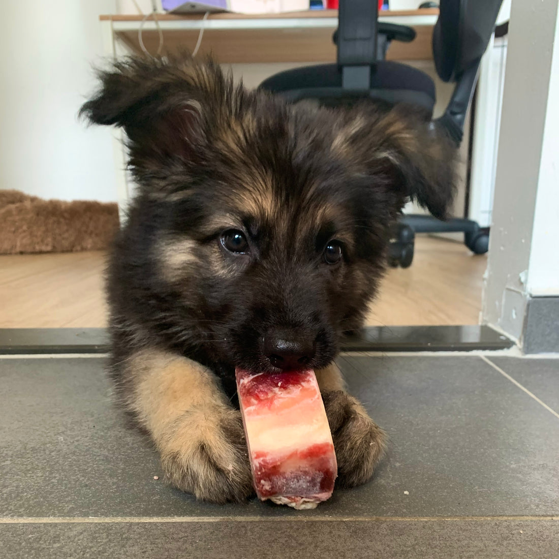 Importance of a Healthy Diet