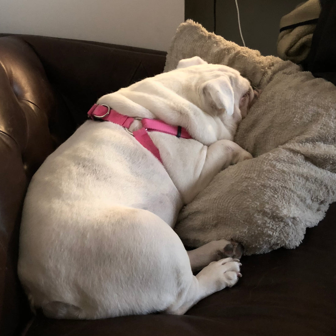 Importance of Stress Management