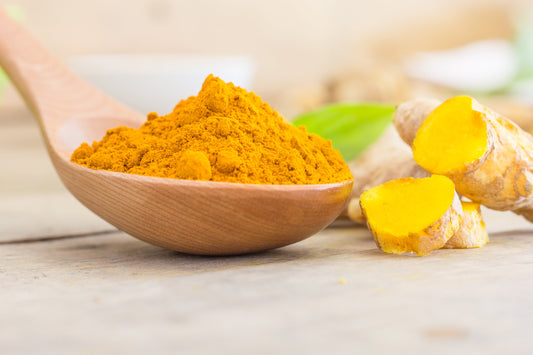 Ground turmeric powder in a wooden spoon with fresh turmeric root