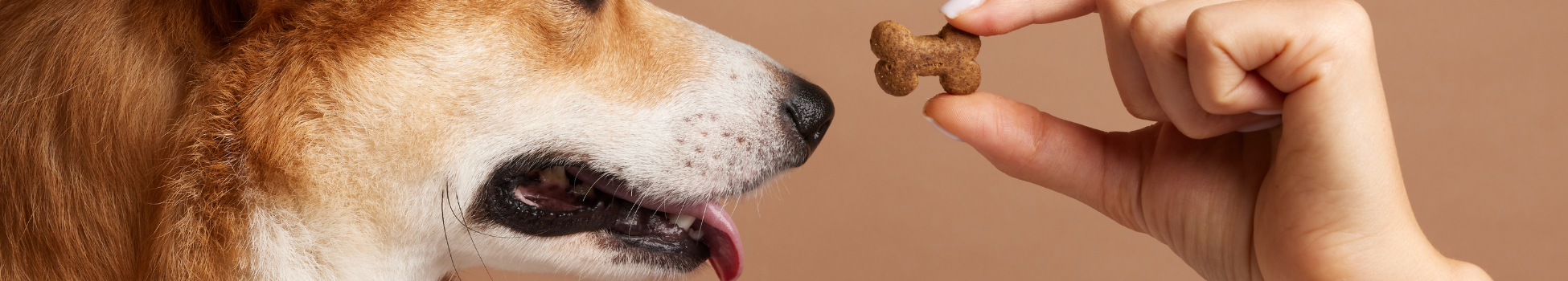 Treats