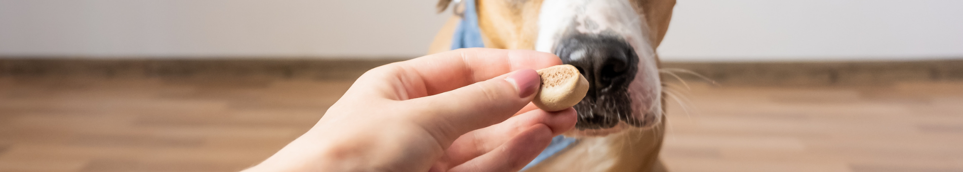 Vegan Dog Treats