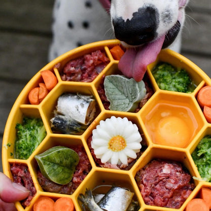 Honeycomb Dog Slow Feeder Bowl