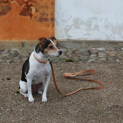 Organic Woven Cotton Dog Leash