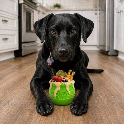 Honey Pot Treat Dispenser
