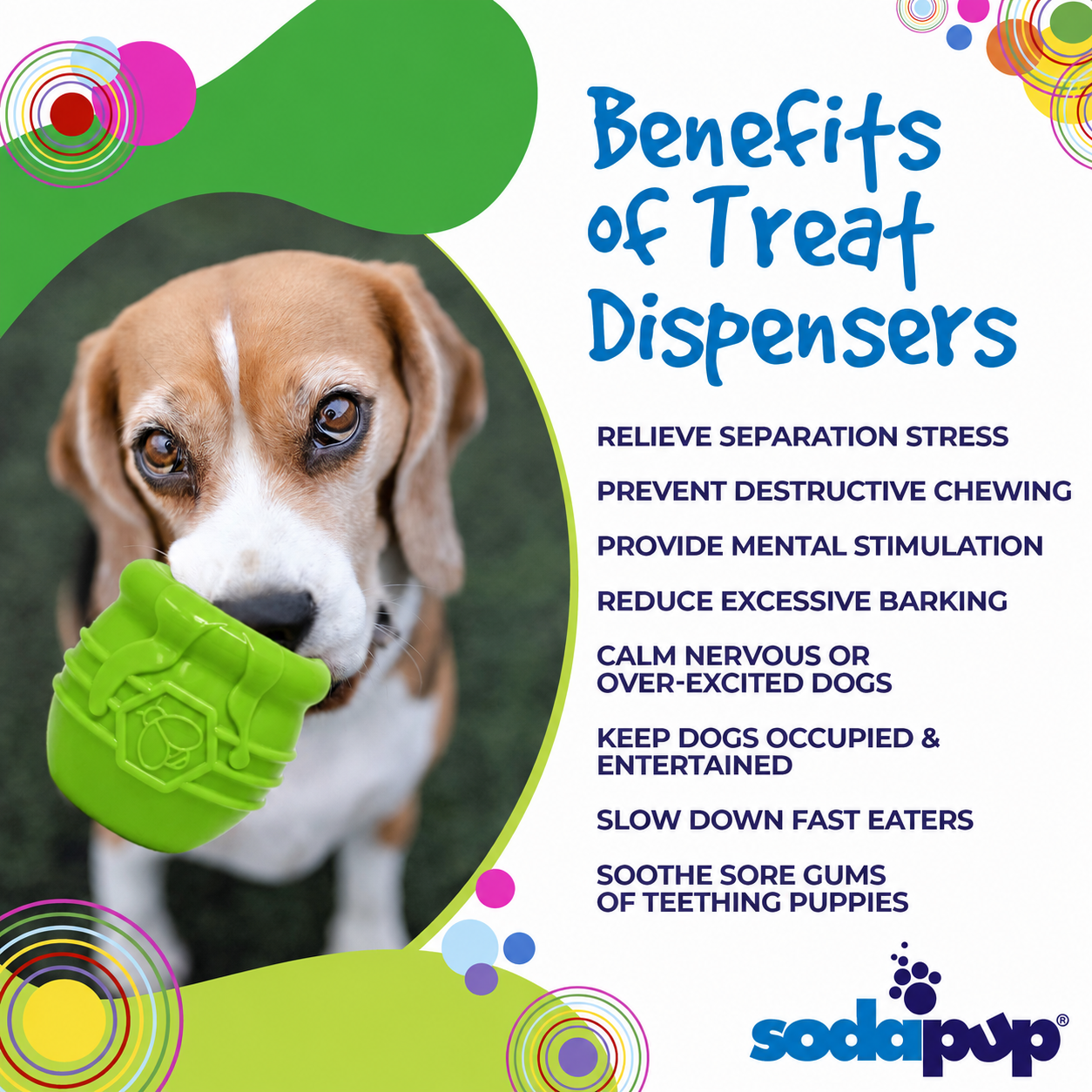 Honey Pot Treat Dispenser