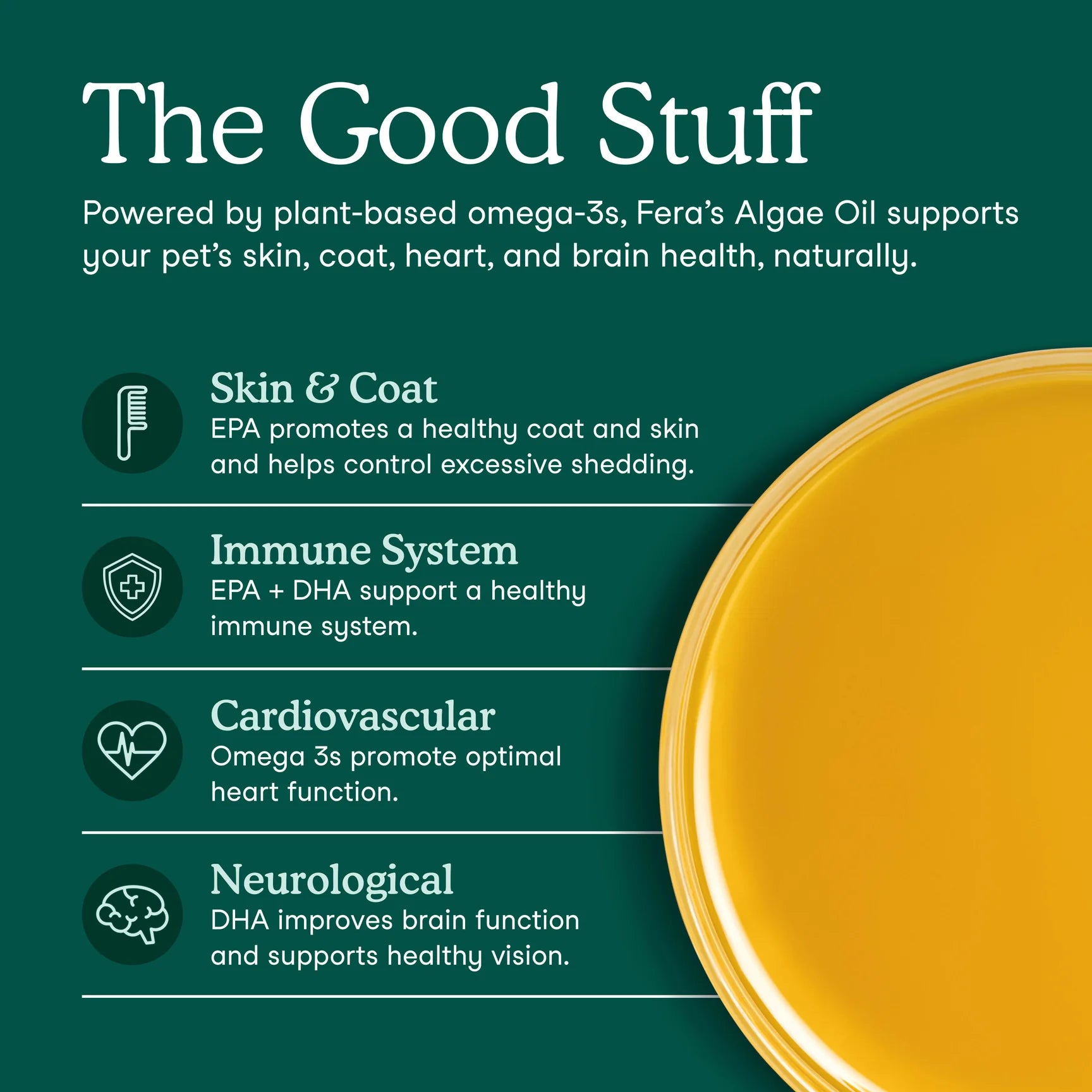 Algae Oil Benefits for Dogs