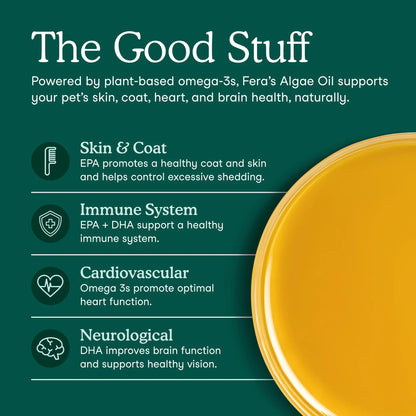 Algae Oil Benefits for Dogs
