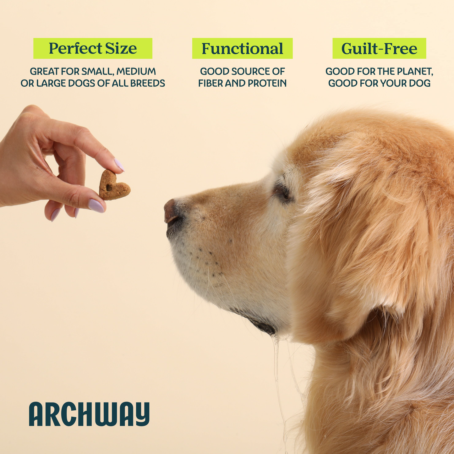 Golden retriever receiving an Archway Digestive Health functional dog treat by hand