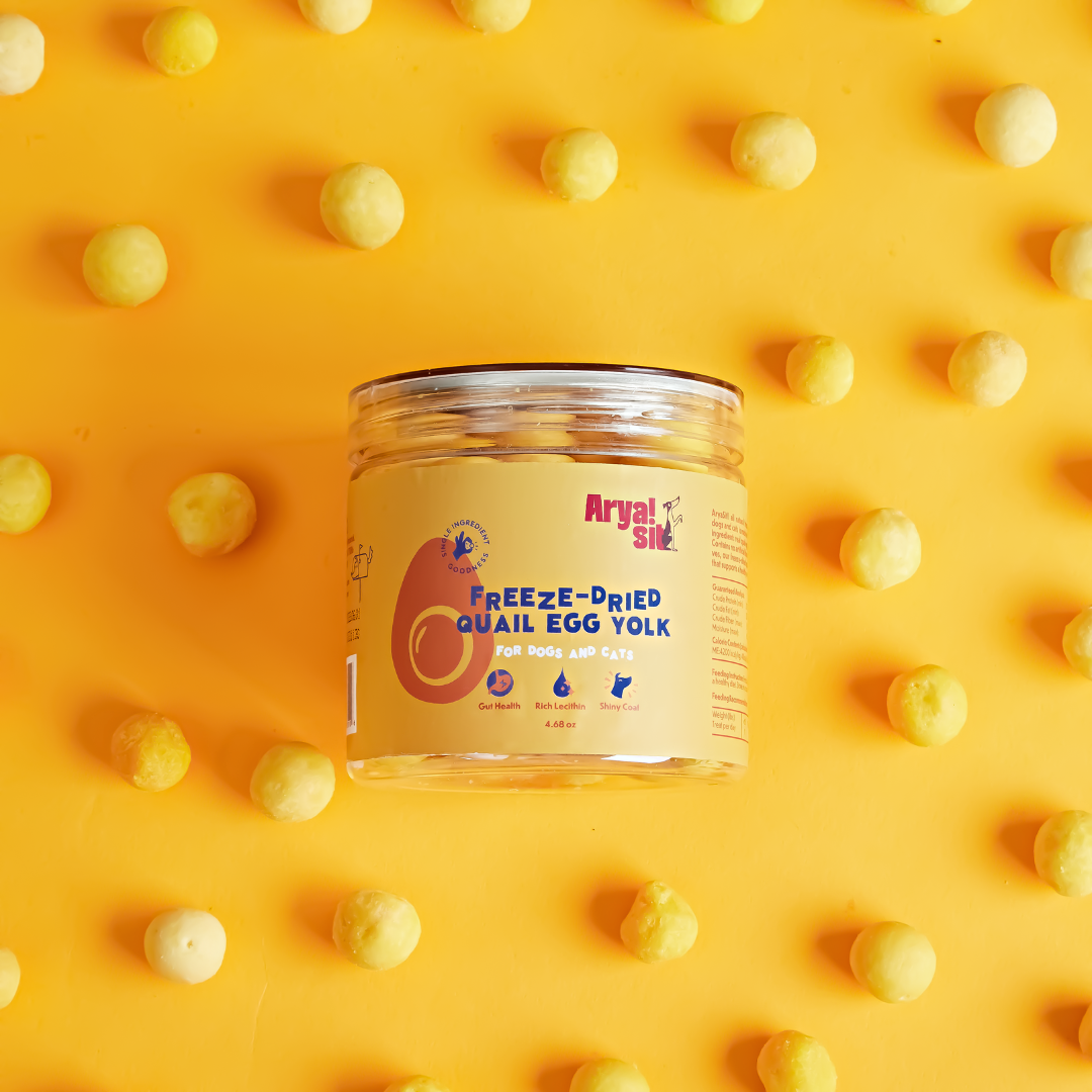 Single-ingredient egg yolk treats, freeze-dried to preserve nutrients and natural flavor