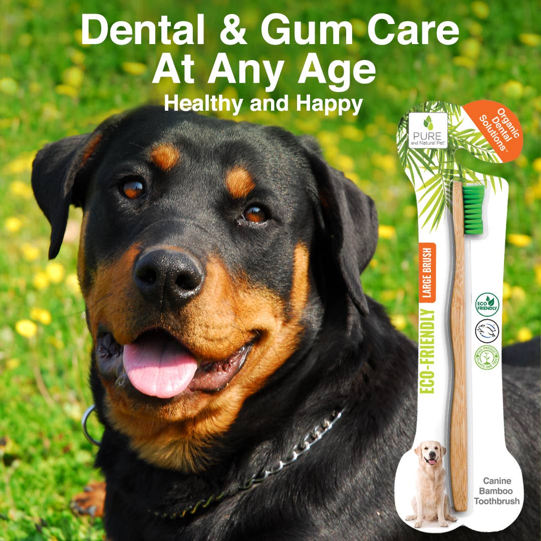 Dog using an eco-friendly bamboo toothbrush designed to support dental and gum care for dogs of all ages