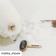 Dog being brushed with a bamboo grooming brush during routine coat care
