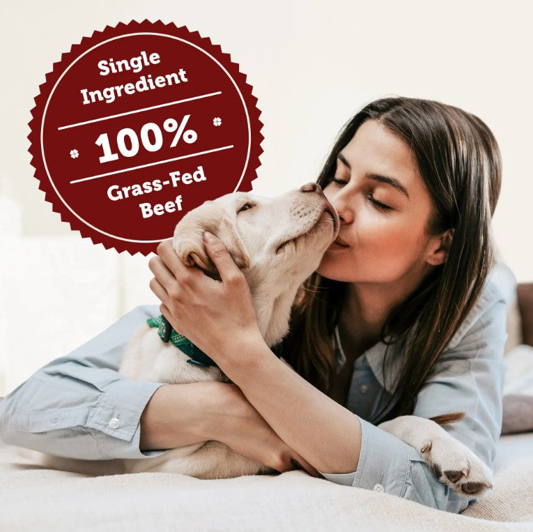 Dog enjoying freeze-dried beef heart treats during bonding moment