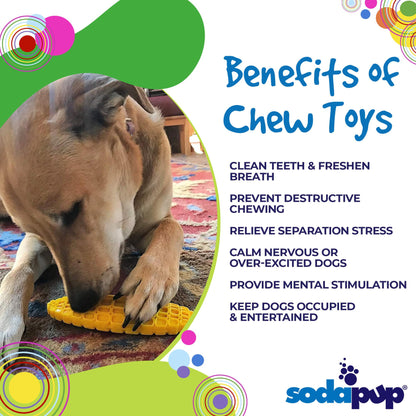 SodaPup graphic highlighting the benefits of the Corn on the Cob chew toy for dogs