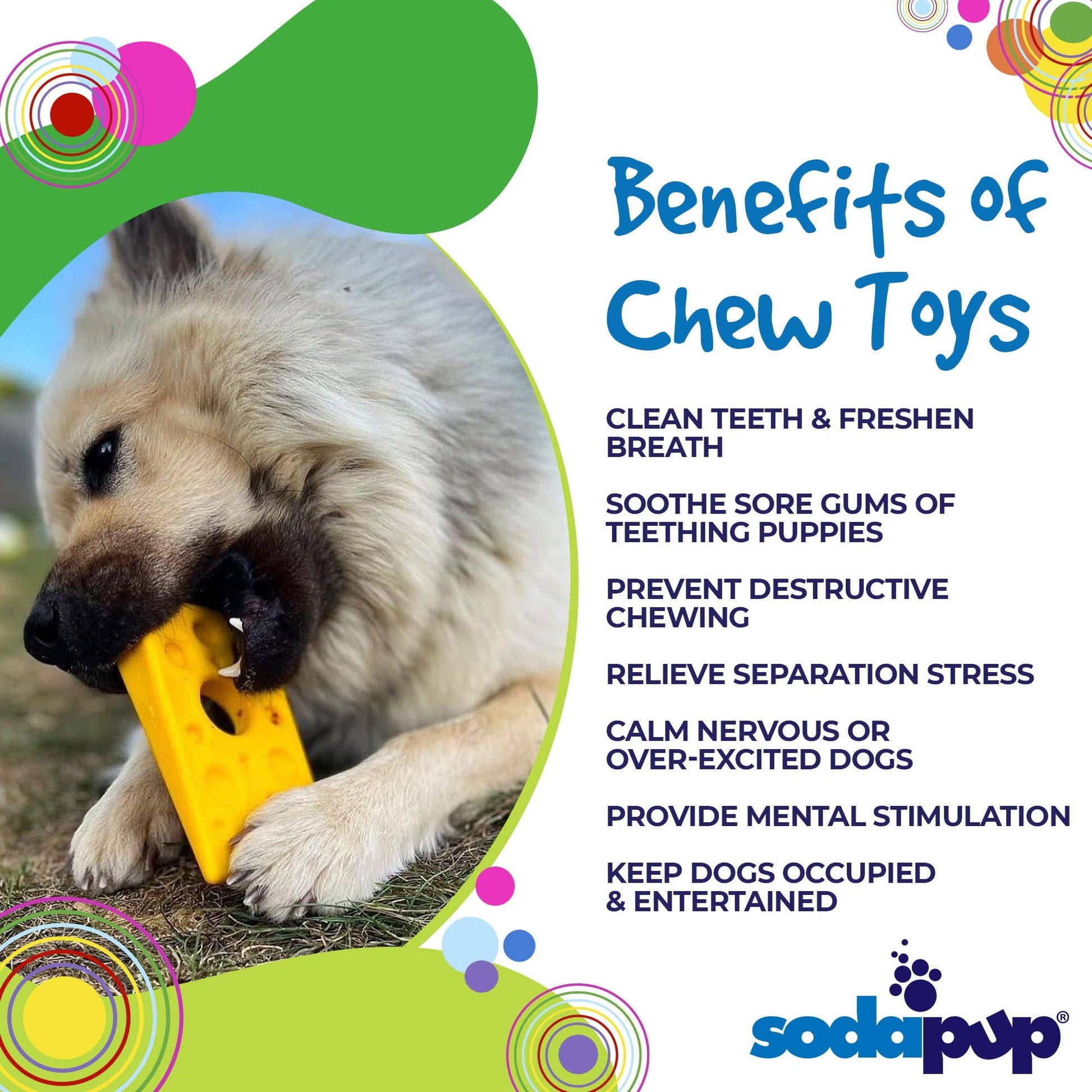 SodaPup graphic showing a dog with the Swiss Cheese Wedge and benefits of chew toys