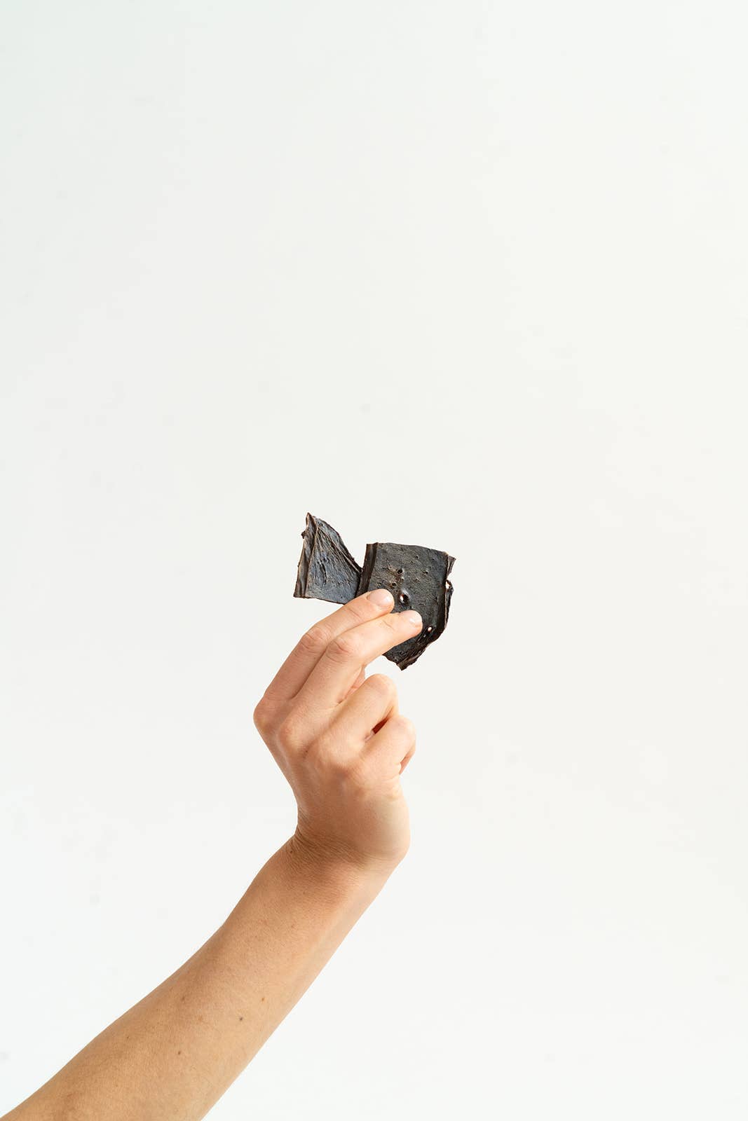 Hand holding a bison liver dog treat for rewarding or training