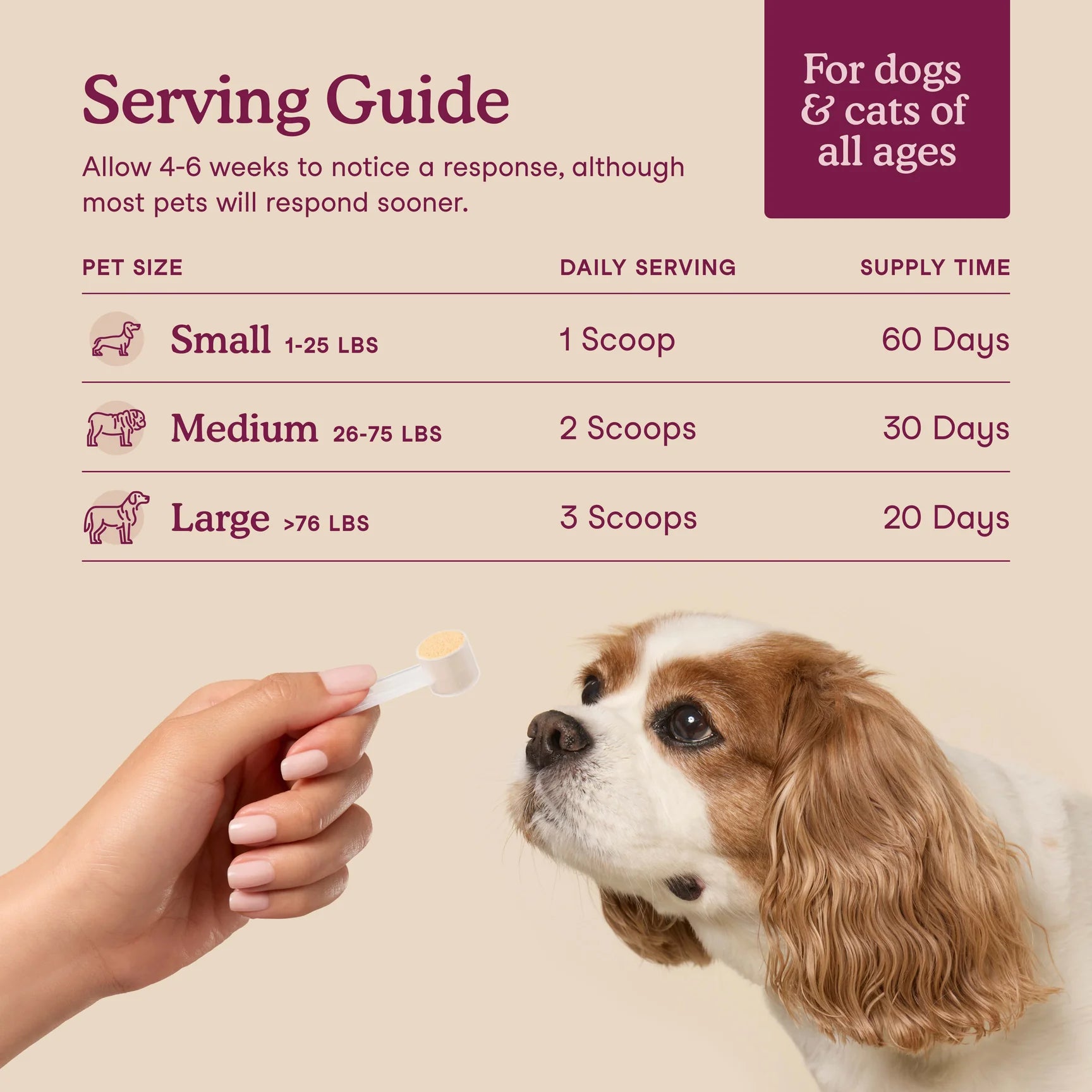Bladder Support Feeding Guide