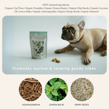 Botanical Bones Balance + Calm dog treats with plant-based ingredients shown for functional nutrition