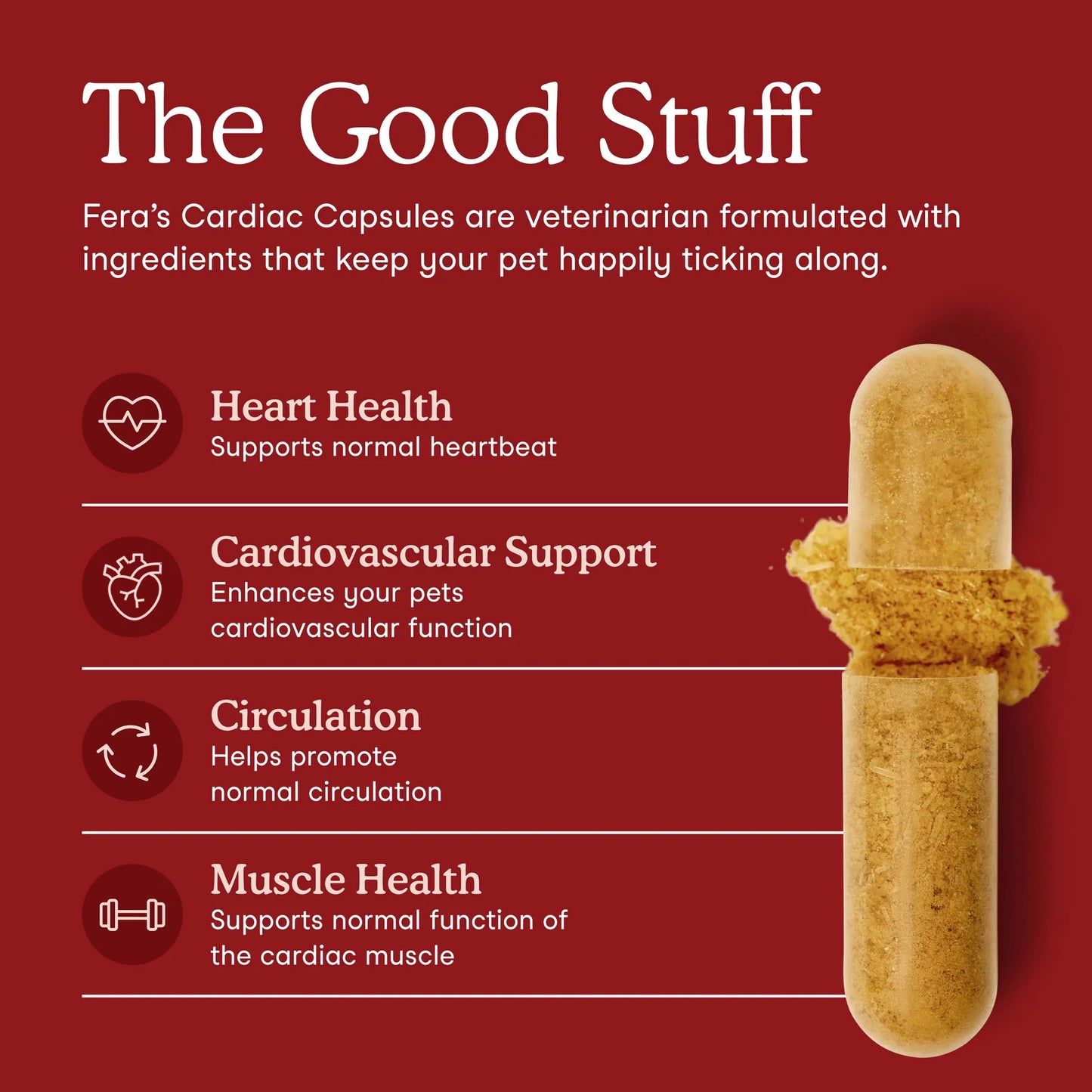 Cardiac Support Benefits for Dogs