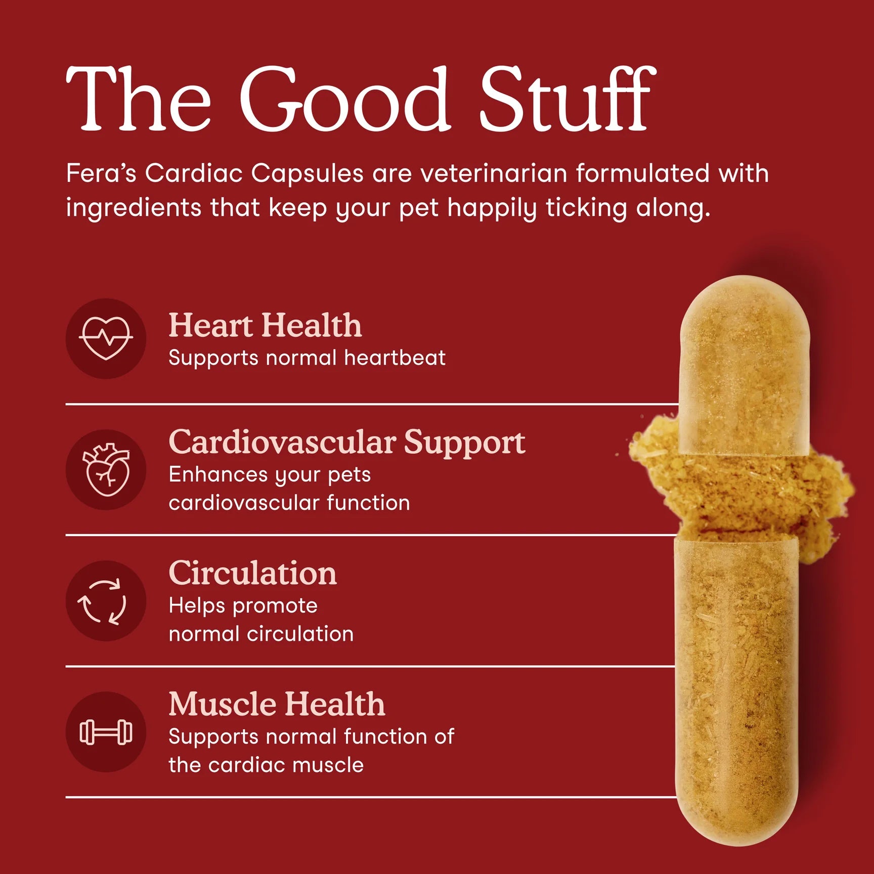 Cardiac Support Benefits for Dogs