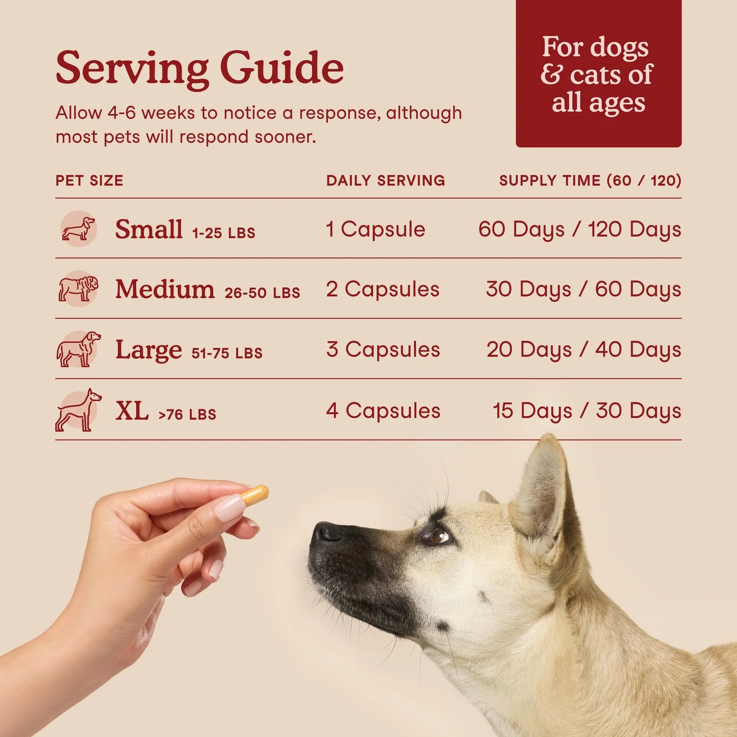 Feeding guide for cardiac support supplement for dogs based on weight