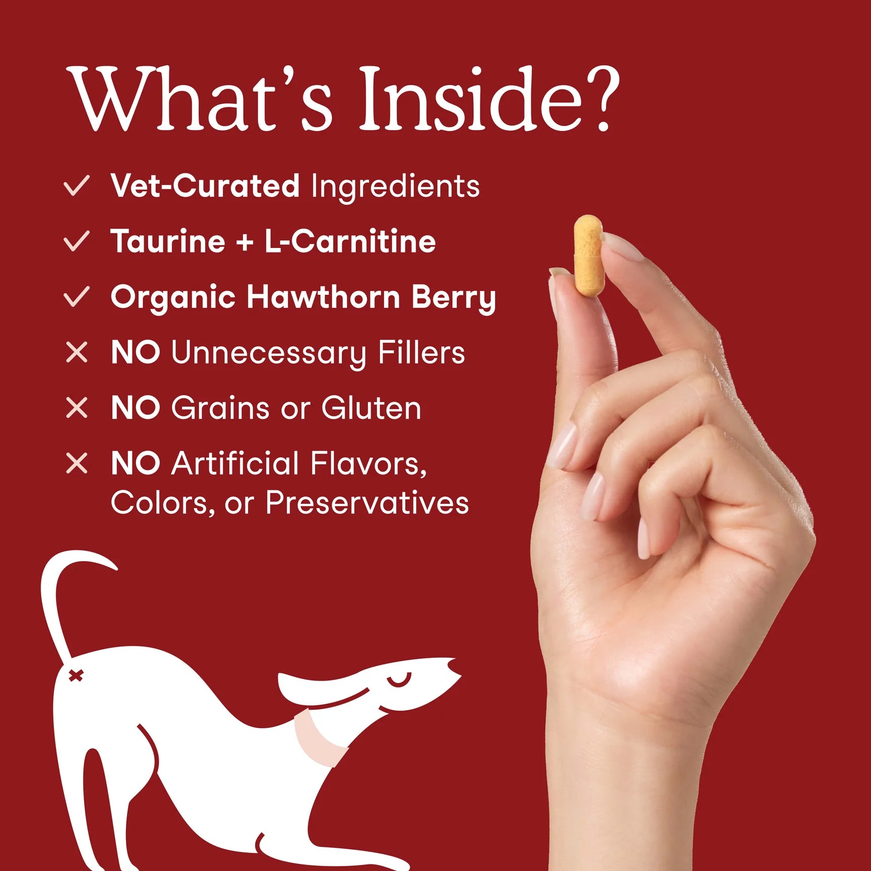 Cardiac Support Ingredients for Dogs