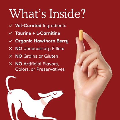 Cardiac Support Ingredients for Dogs