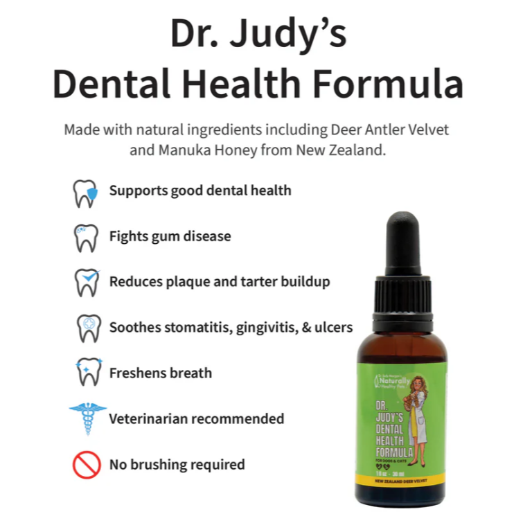 Overview graphic showing Dr. Judy Morgan dental health drops and key features for dog oral hygiene