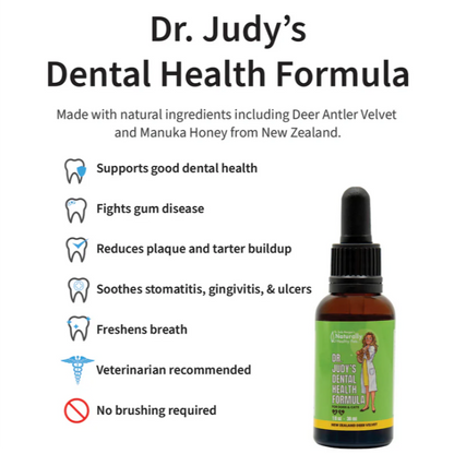 Overview graphic showing Dr. Judy Morgan dental health drops and key features for dog oral hygiene