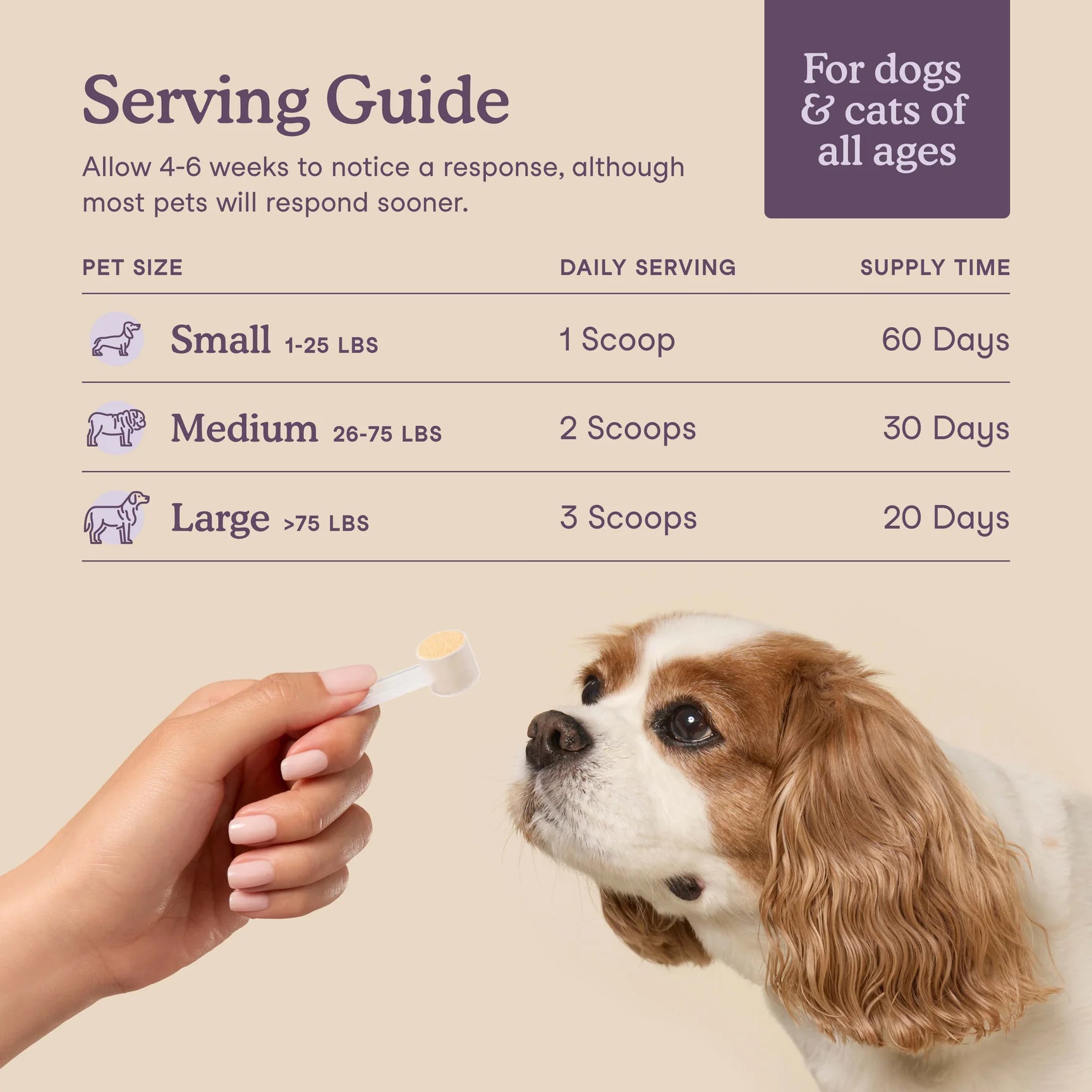 Serving guide for dog calming supplement based on weight and daily use