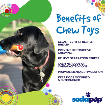 Dog chewing hot dog shaped nylon dog toy designed for aggressive chewers and strong jaws with listed benefits
