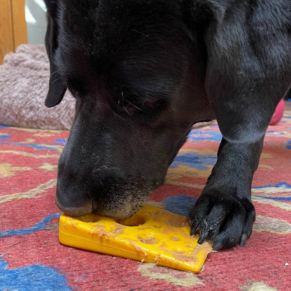 Dog chewing the yellow Swiss Cheese Wedge heavy duty chew toy during play