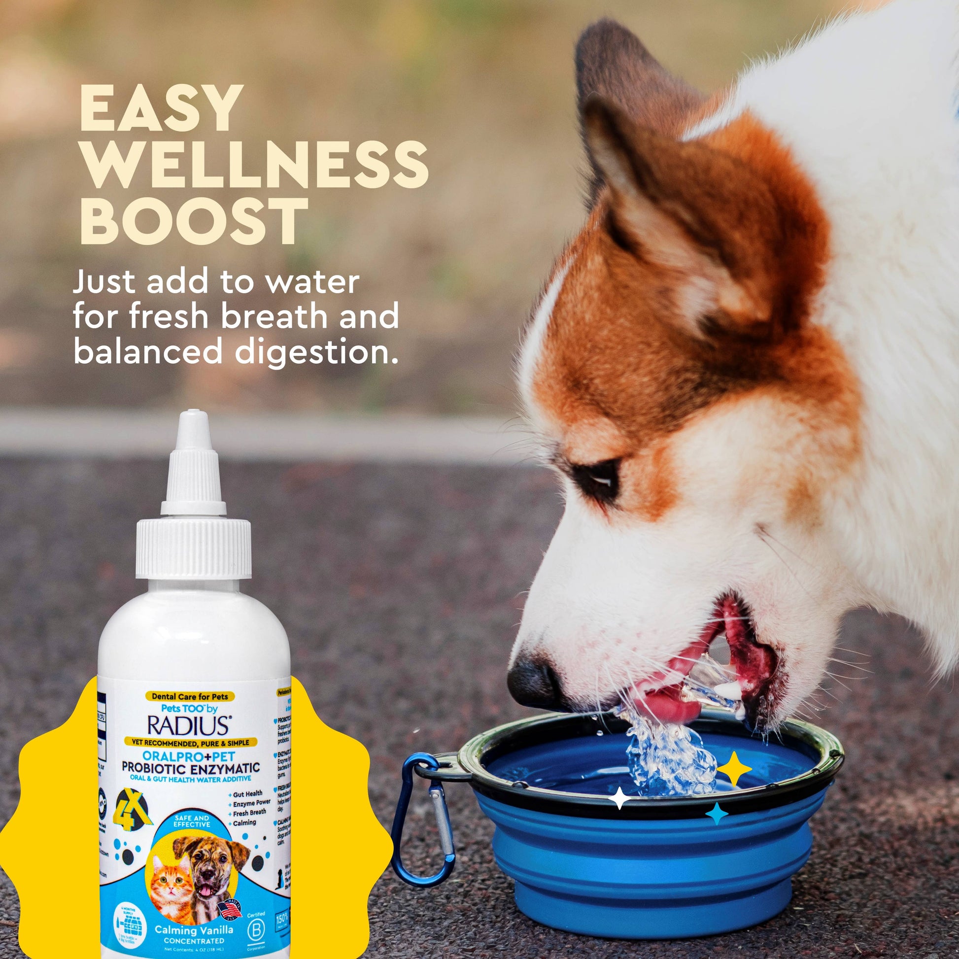 Dog using probiotic enzymatic dental water additive for oral and digestive support