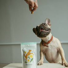 Dog enjoying Botanical Bones Inner Glow digestive dog treats during treat time