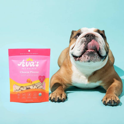 Happy dog enjoying Cheeze Pleeze organic cheese dog treats, made with real food ingredients and free from wheat, corn, soy, and preservatives.