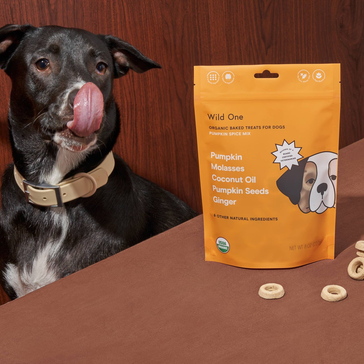 Happy dog enjoying Wild One organic pumpkin spice vegan dog treats made with plant based, USDA organic ingredients and baked in small batches.