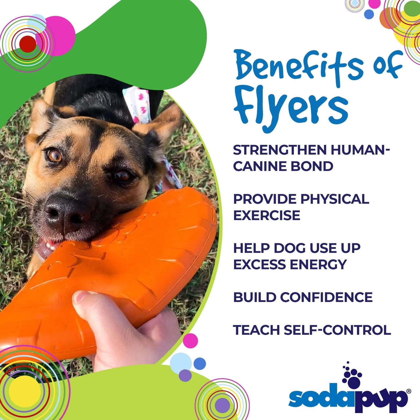 Dog holding a durable rubber frisbee during fetch play with benefits.