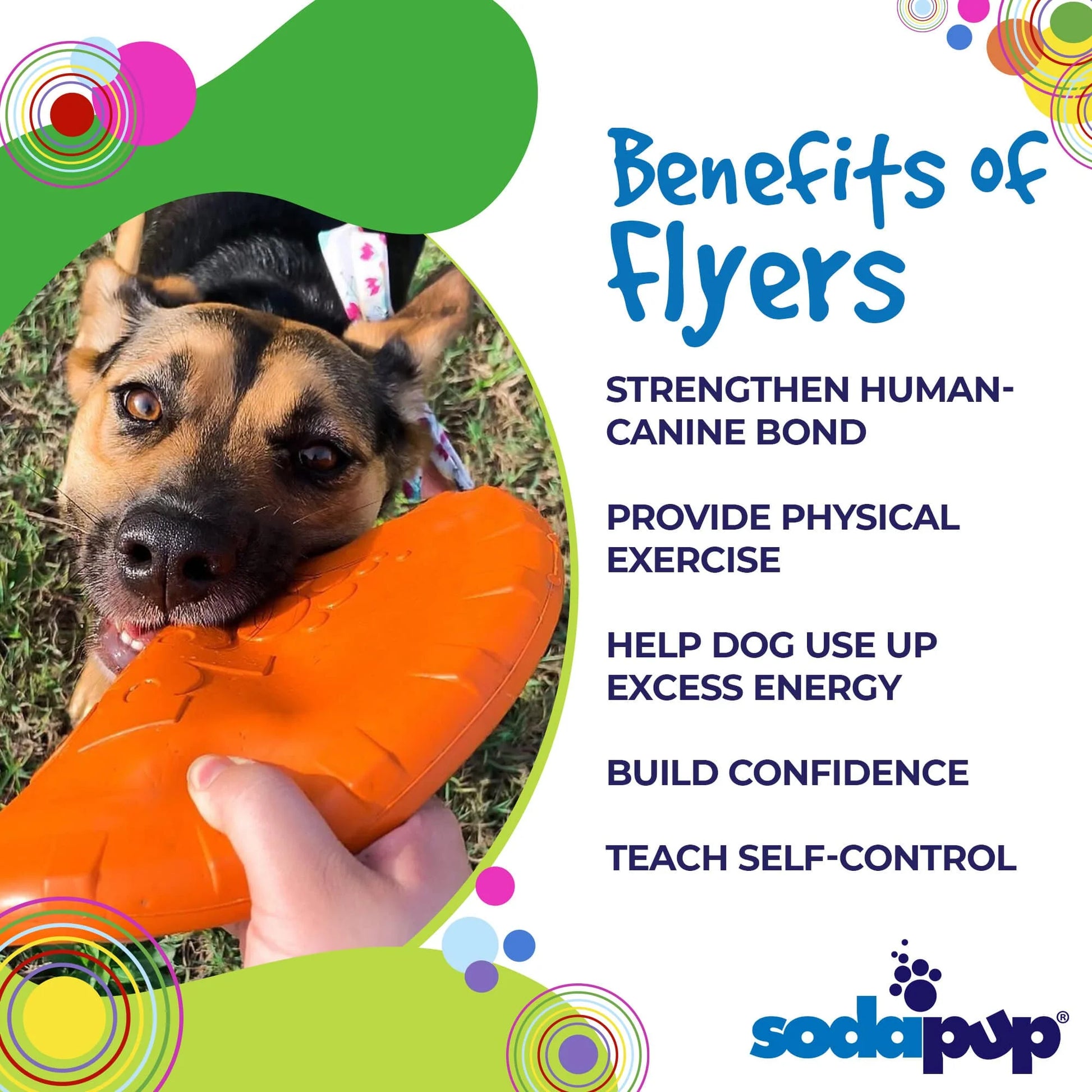 Dog holding a durable rubber frisbee during fetch play with benefits.
