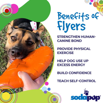 Dog holding a durable rubber frisbee during fetch play with benefits.