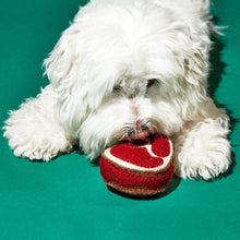 Small white dog playing with a natural lambswool steak dog toy