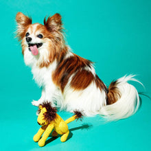 Dog playing with an organic cotton lion dog toy made from natural fibers. Non-toxic, fair trade plush toy safe for everyday supervised play.