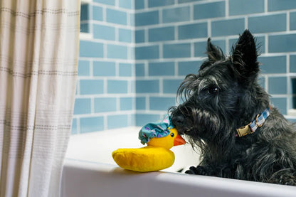 Dog playing with yellow duck plush dog toy, interactive non-toxic dog toy for enrichment