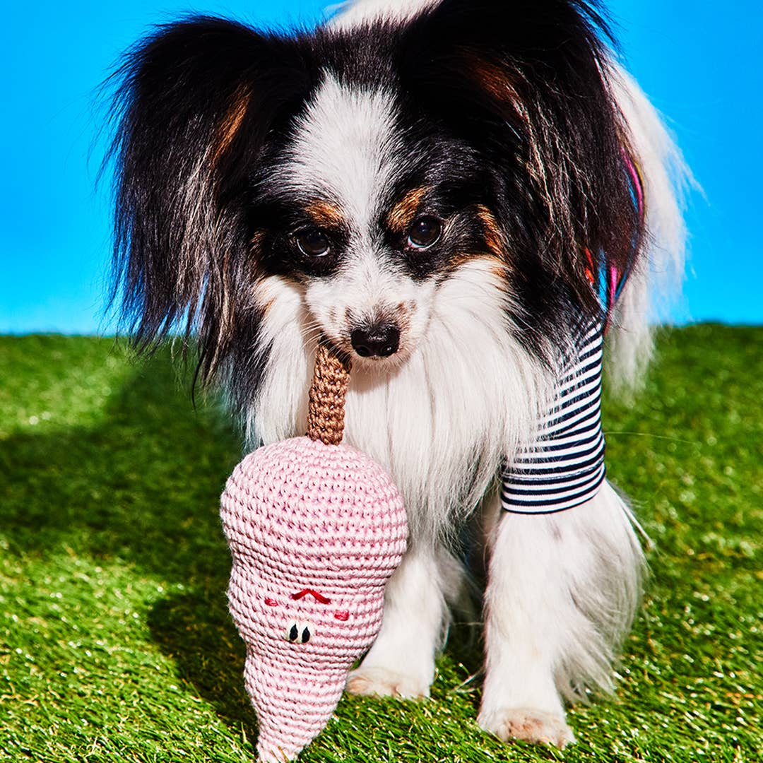 Dog holding a natural cotton candy dog toy made with non-toxic cotton and a squeaker
