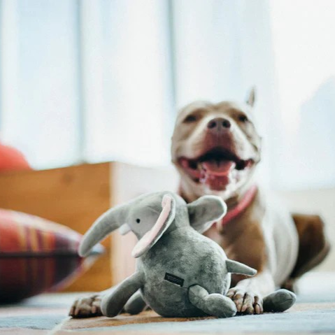 Dog enjoying dynamic play with an eco-friendly elephant dog toy made with safe dyes