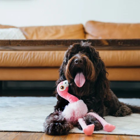 Dog enjoying an interactive flamingo dog toy made with non-toxic, eco-friendly materials
